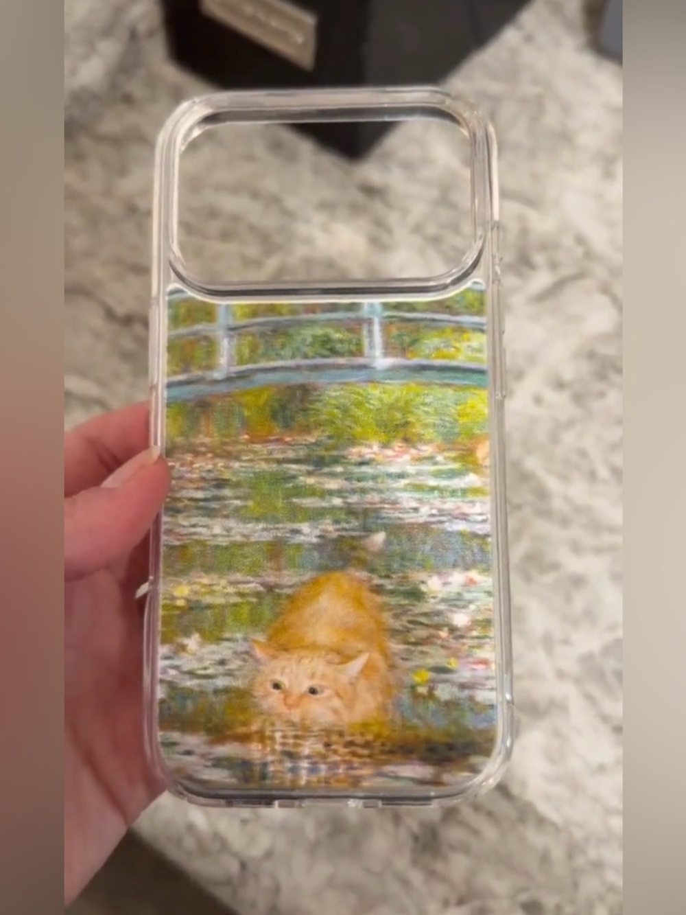 iPhone 17 Pro phone case